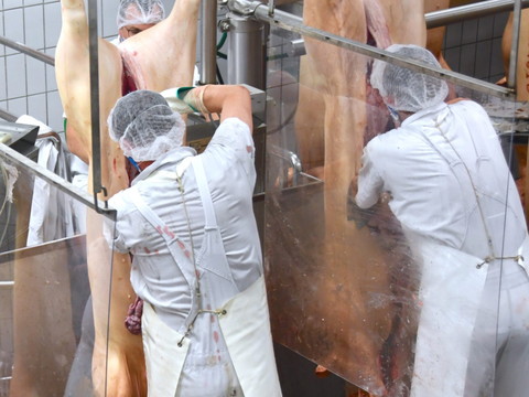 L'Allemagne va interdire la sous-traitance dans ses abattoirs