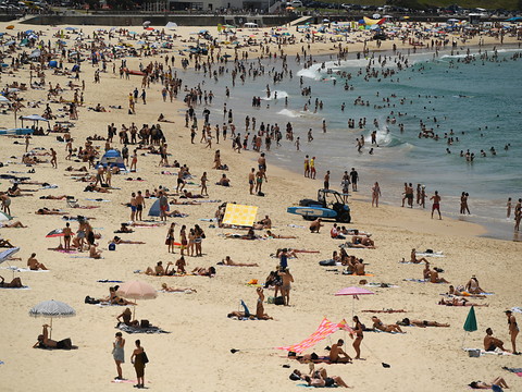Sydney enregistre sa nuit de novembre la plus chaude