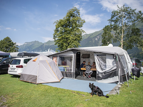 L'hébergement collectif est resté sinistré au 3e trimestre