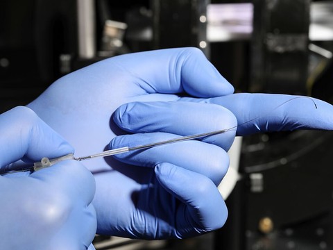 EPFL: un fil de pêche pour atteindre les capillaires