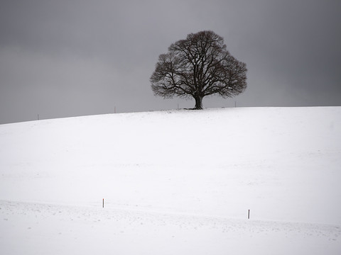 La nuit la plus froide de cet hiver