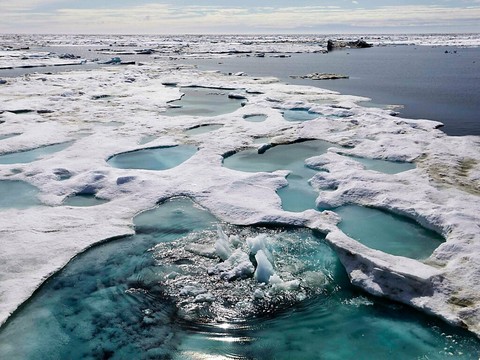 Un navire de pêche coule dans l'Arctique, 17 personnes disparues