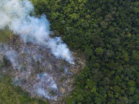 Les incendies de forêt au plus haut en dix ans