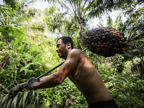 L'accord avec Jakarta encourage un 