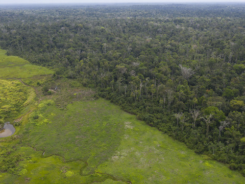 43 millions d'hectares perdus sur les principaux 