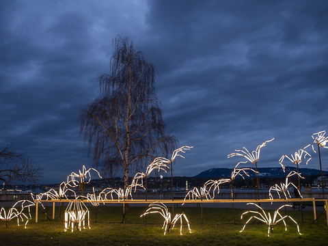 Les nuits genevoises illuminées par des oeuvres poétiques