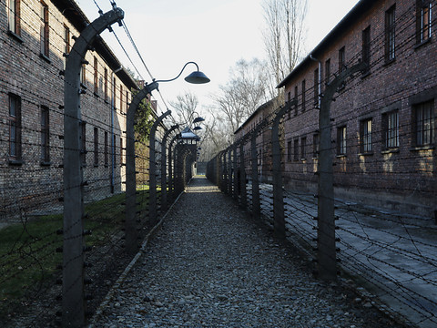 Auschwitz: hommage aux enfants massacrés