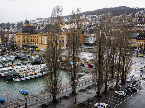Plantation de 20 nouveaux peupliers à la Place du port à Neuchâtel