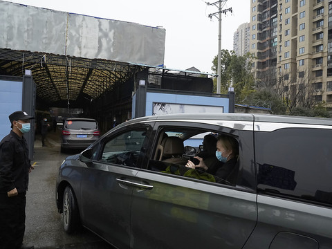Les experts de l'OMS visitent le marché de Wuhan