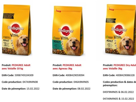 Rappel de croquettes pour chiens