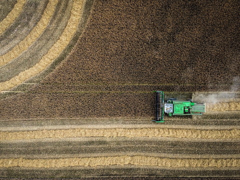 L'Allemagne restreint l'usage des pesticides