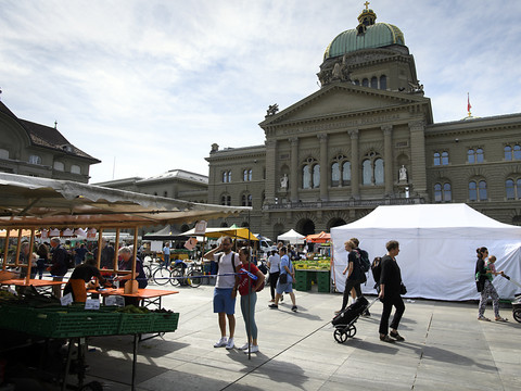 Quinze artistes pour une intervention sur le Palais fédéral