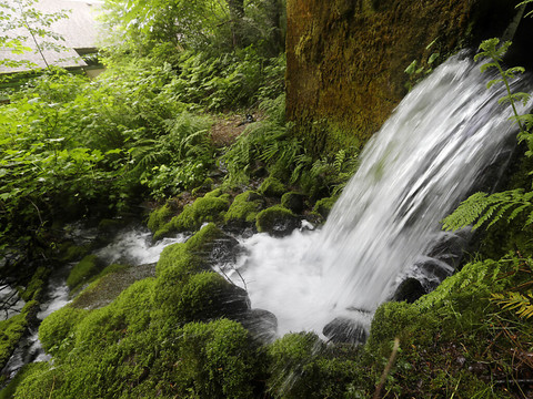 Nestlé cède ses marques d'eau américaines à One Rock Capital
