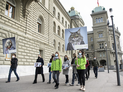 Une pétition demande l'arrêt des expérimentations animales