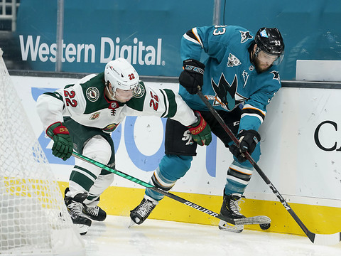 Fiala bat Meier