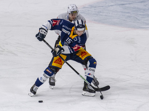 Retour gagnant pour Hofmann