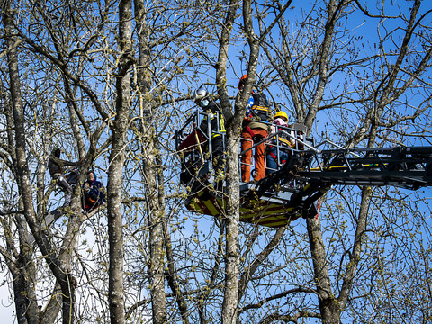 Un zadiste a chuté dans un arbre - Manifestation à Lausanne