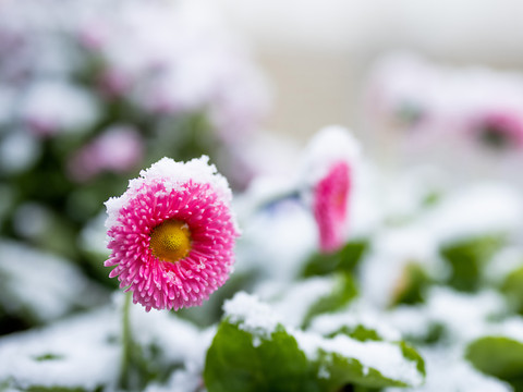 Un puissant front froid fait chuter les températures en Suisse