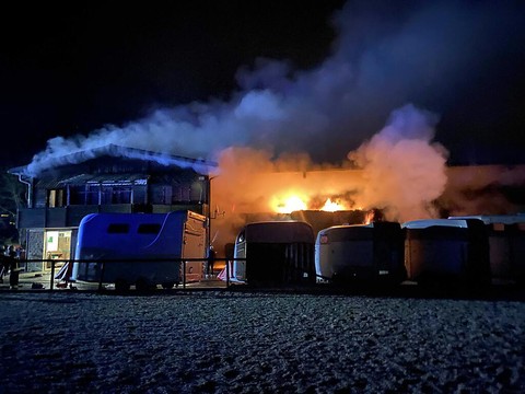 Les 32 chevaux d'un centre équestre sauvés des flammes à Würenlos