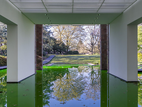 Fondation Beyeler: Olafur Eliasson laisse l'étang envahir les lieux