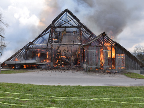 Animaux sauvés d'une grange en feu à Ruswil (LU)