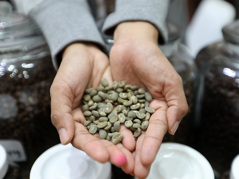 Climat: le parfum d'espoir d'une espèce de café oubliée (étude)