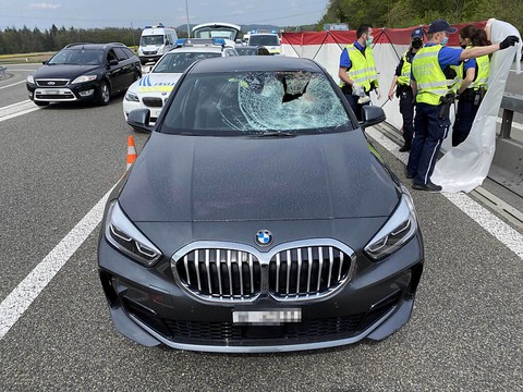 Une Genevoise meurt après une collision avec un chevreuil sur l'A1