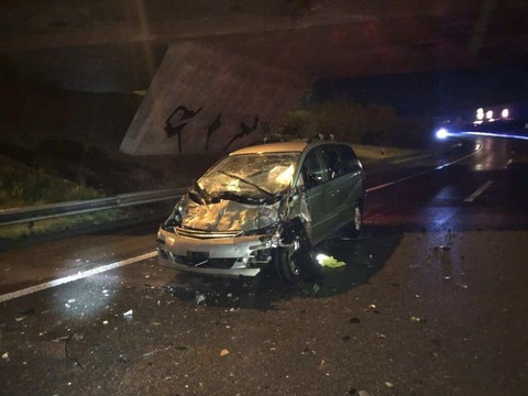 Quatre vaches tuées après une collision sur l’autoroute à Matran