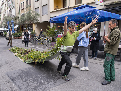Une initiative pour plus d'arbres et moins de voitures en ville