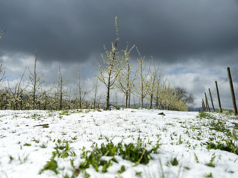 Il n'a plus fait aussi froid en avril depuis 20 ans