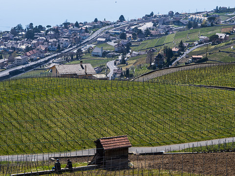 Le PAC Lavaux entre les mains du Grand Conseil