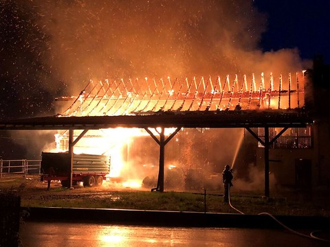 Chevaux sauvés d'une écurie en feu à Andwil (TG)