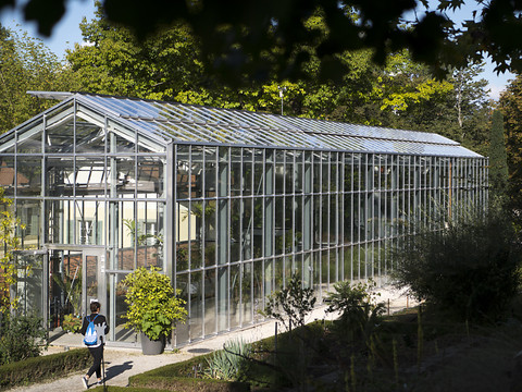 Les Jardins botaniques se penchent sur les néophytes envahissantes