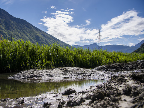 Nant de Drance SA compense son impact sur la nature avec 15 mesures