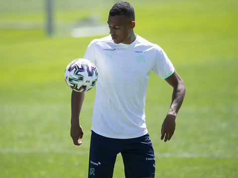 Kobel, Ndoye et Zeqiri écartés par Petkovic