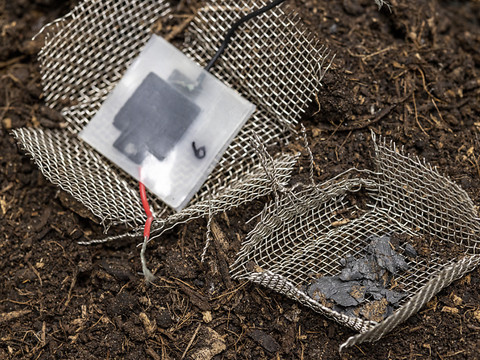 Des chercheurs de l'Empa mettent au point une pile biodégradable
