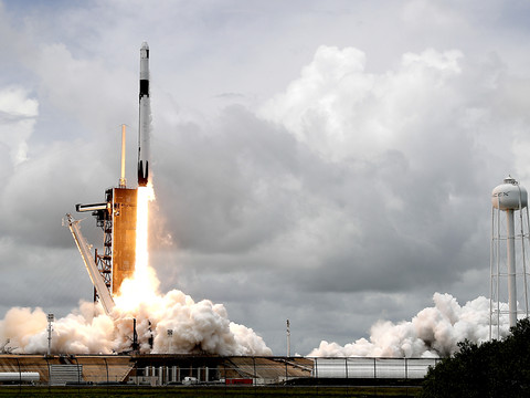 Pour la science, des calamars en route vers la Station spatiale