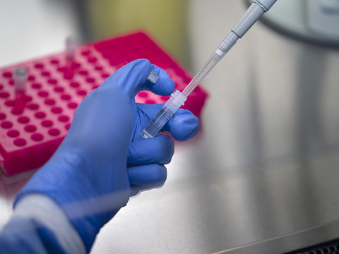 La Suisse compte 491 nouveaux cas de coronavirus en 24 heures