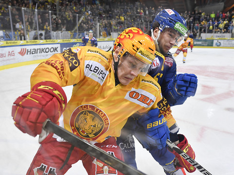 Harri Pesonen revient aux Langnau Tigers