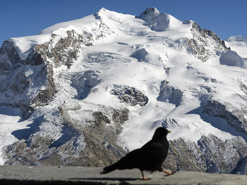 Deux femmes meurent de froid sur le Mont-Rose
