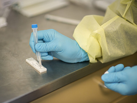 La Suisse compte 295 nouveaux cas de coronavirus en 24 heures