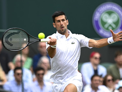 Djokovic domine Fucsovics en trois sets