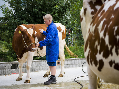 Bilan mitigé pour les objectifs de durabilité d'Emmi