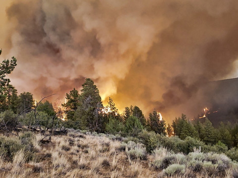 Des centaines de milliers d'hectares en feu dans l'Ouest américain
