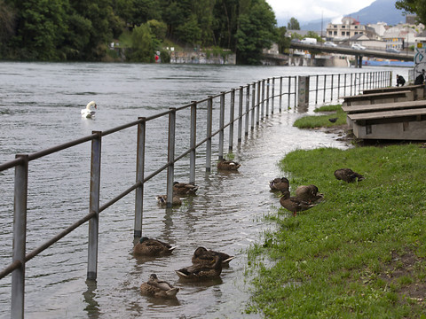 Le niveau du lac Léman monte encore - Débit plus élevé dans l'Arve