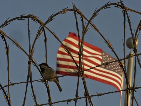 Transfert d'un détenu de Guantanamo au Maroc, selon le Pentagone