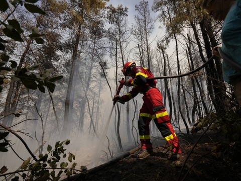 Grèce: l'incendie d'Eubée 