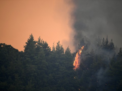 Feux: accalmie en Eubée, craintes dans le Péloponnèse