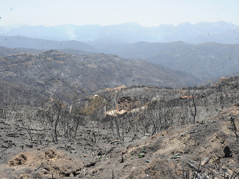 Algérie: 69 morts dans les incendies toujours actifs
