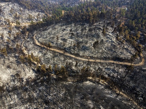 Grèce: amélioration sur le front des incendies, le gouvernement reste prudent